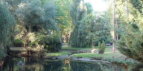 Aufnahme eines schön gelegenen Teichs im Kurpark in Werl.