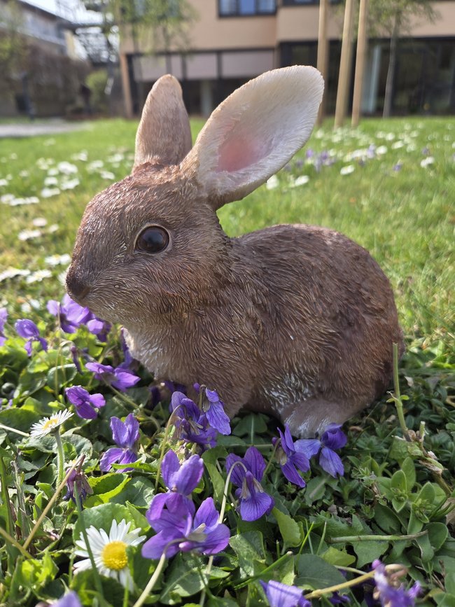 Ostern_2026_1_-_Kopie