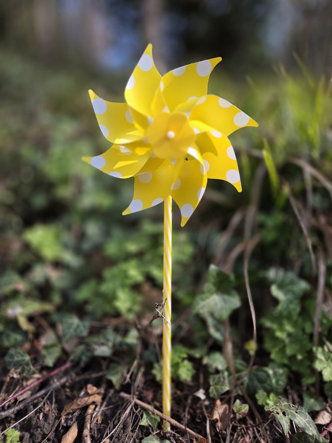 Ostern_2026_3_-_Kopie