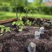 Gartenarbeit_4