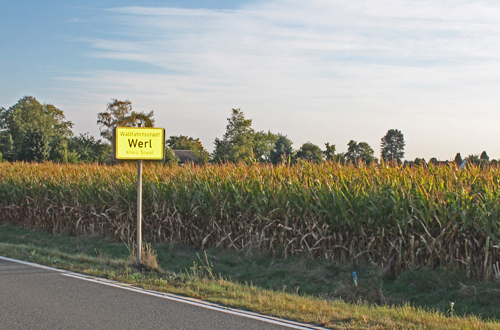 Blick auf das Ortsschild von Werl inmitten von Maisfeldern.